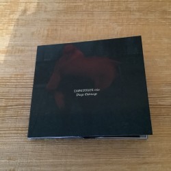 LUGUBRUM TRIO - Plage Chômage - CD DIGIPAK (+digital download)