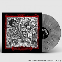 IESCHURE - When the Darkness Comes - VINYL LP silver marble + digital